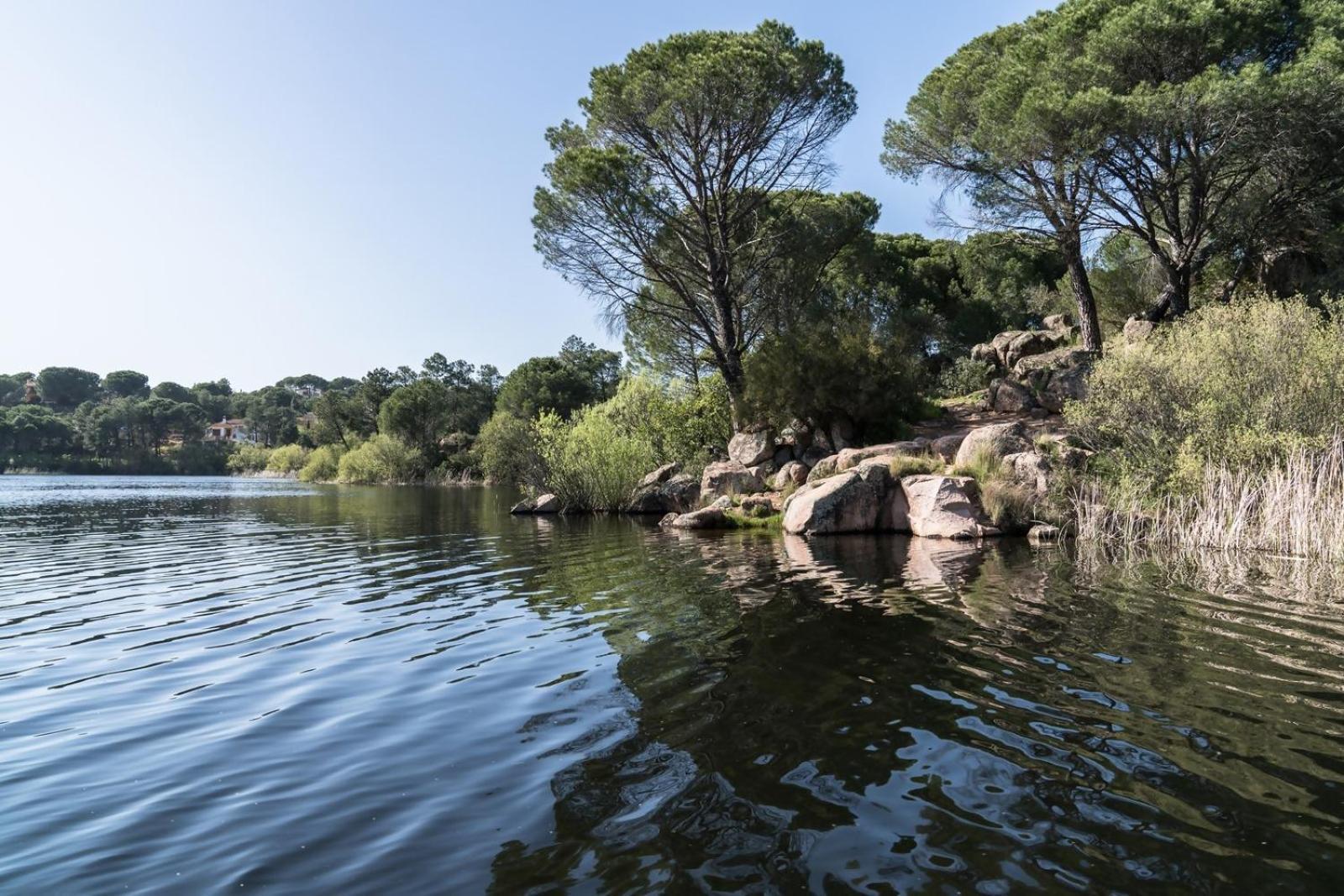 Casa El Lago Alojamiento Rural Las Jaras Ngoại thất bức ảnh